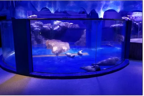 Curved display tank