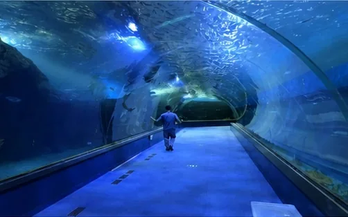 Onderwater acryl passage bij Hunan Yiyang Oceaanwereld