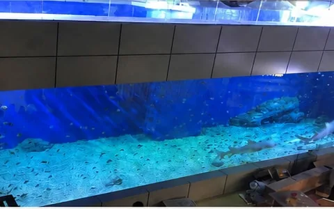 Long aquarium viewing wall