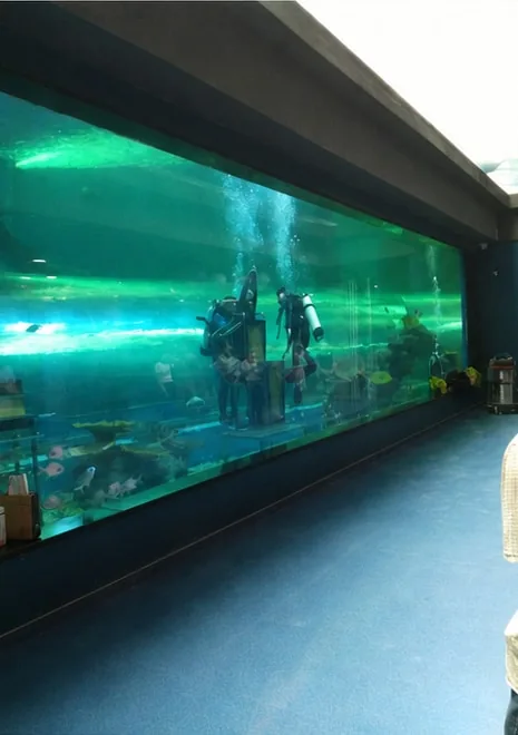 Indoor aquarium viewing wall