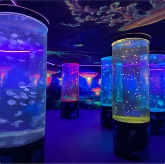 Multiple cylindrical aquarium displays