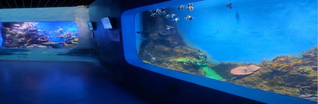Panoramic viewing wall at Yulin Aquarium