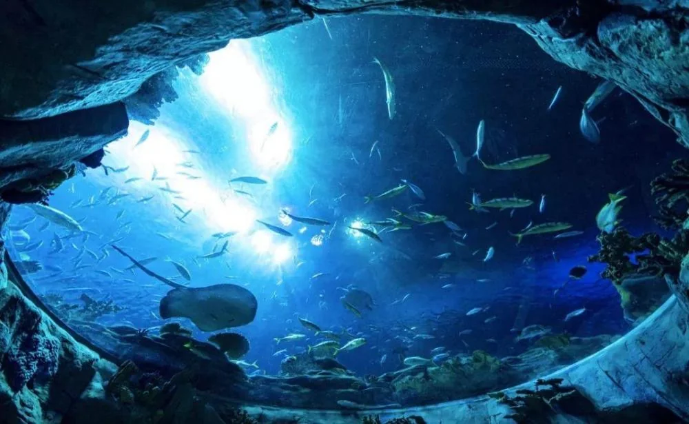 Underwater acrylic glass tunnel aquariums — view 3