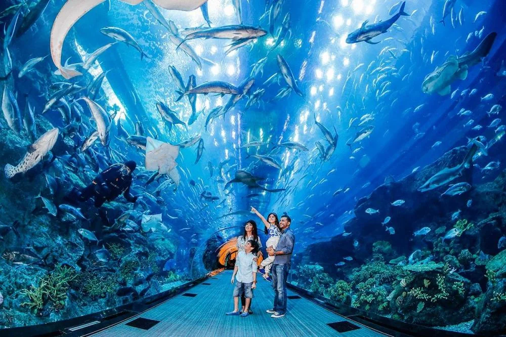 Large Customer Acrylic Aquarium Tunnel