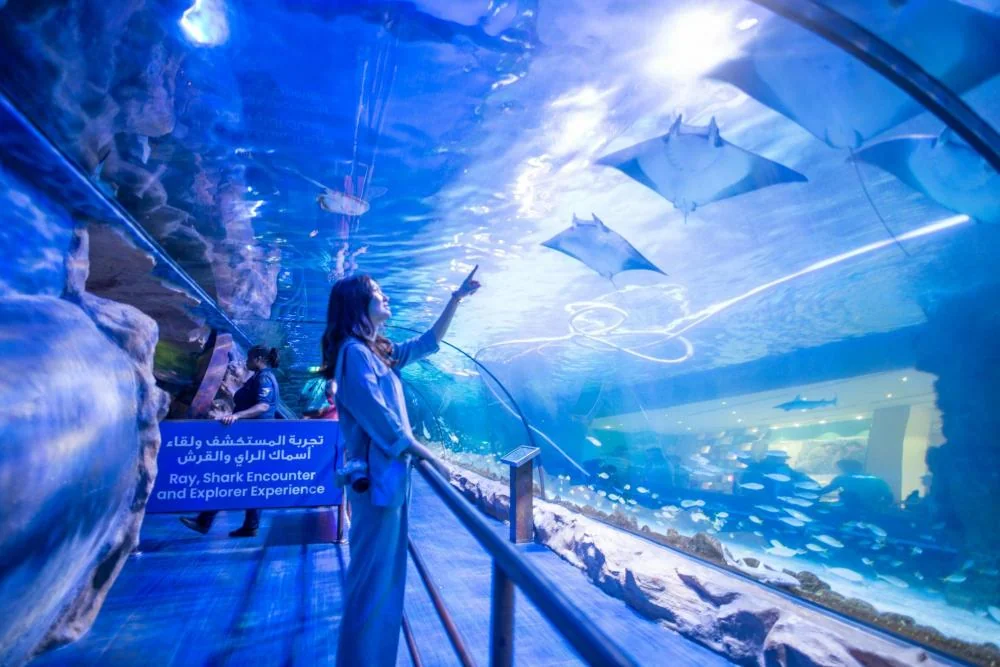 Custom large clear Acrylic Tunnel in ocean Aquarium — view 2