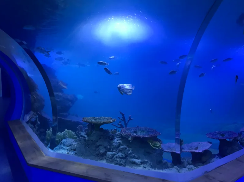 Ultra thick cast acrylic tunnel fish tank aquarium — view 3