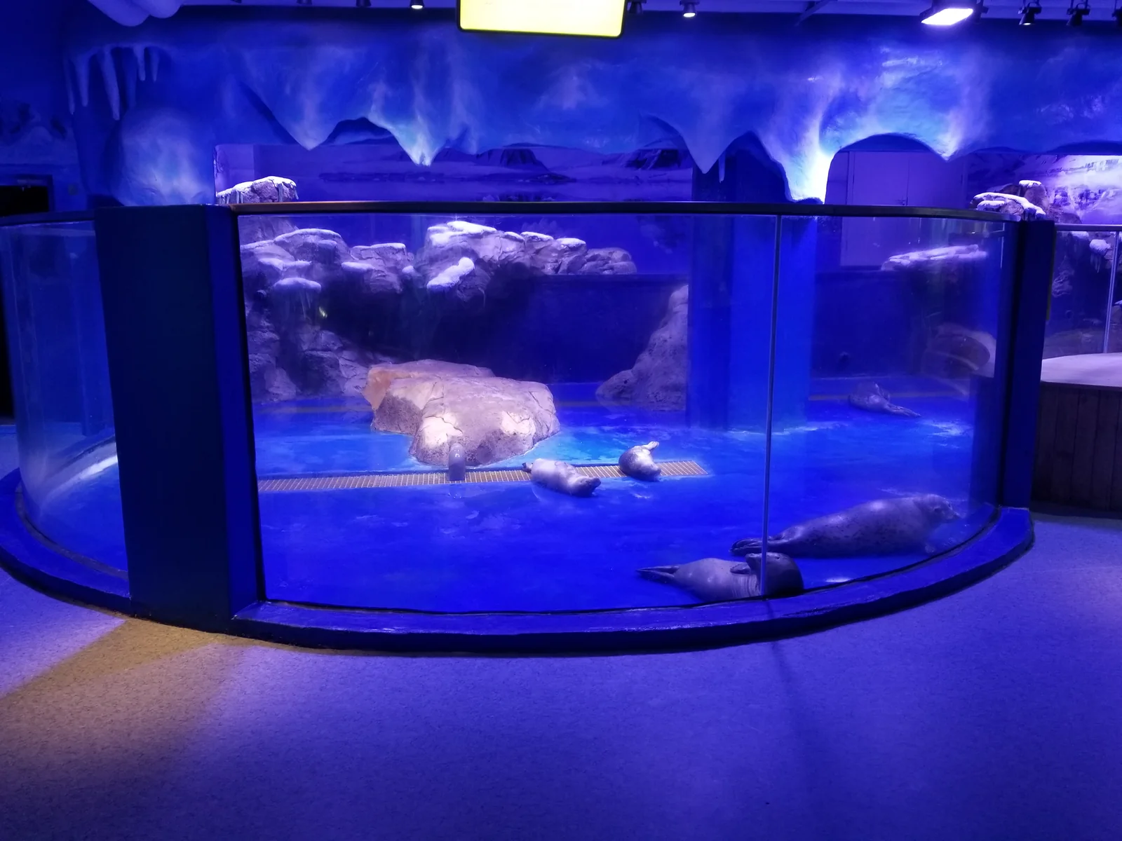 Weihai Weigao Ocean Park — project photograph