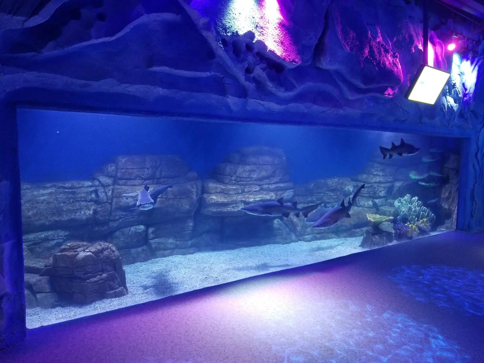 Weihai Weigao Ocean Park — project photograph