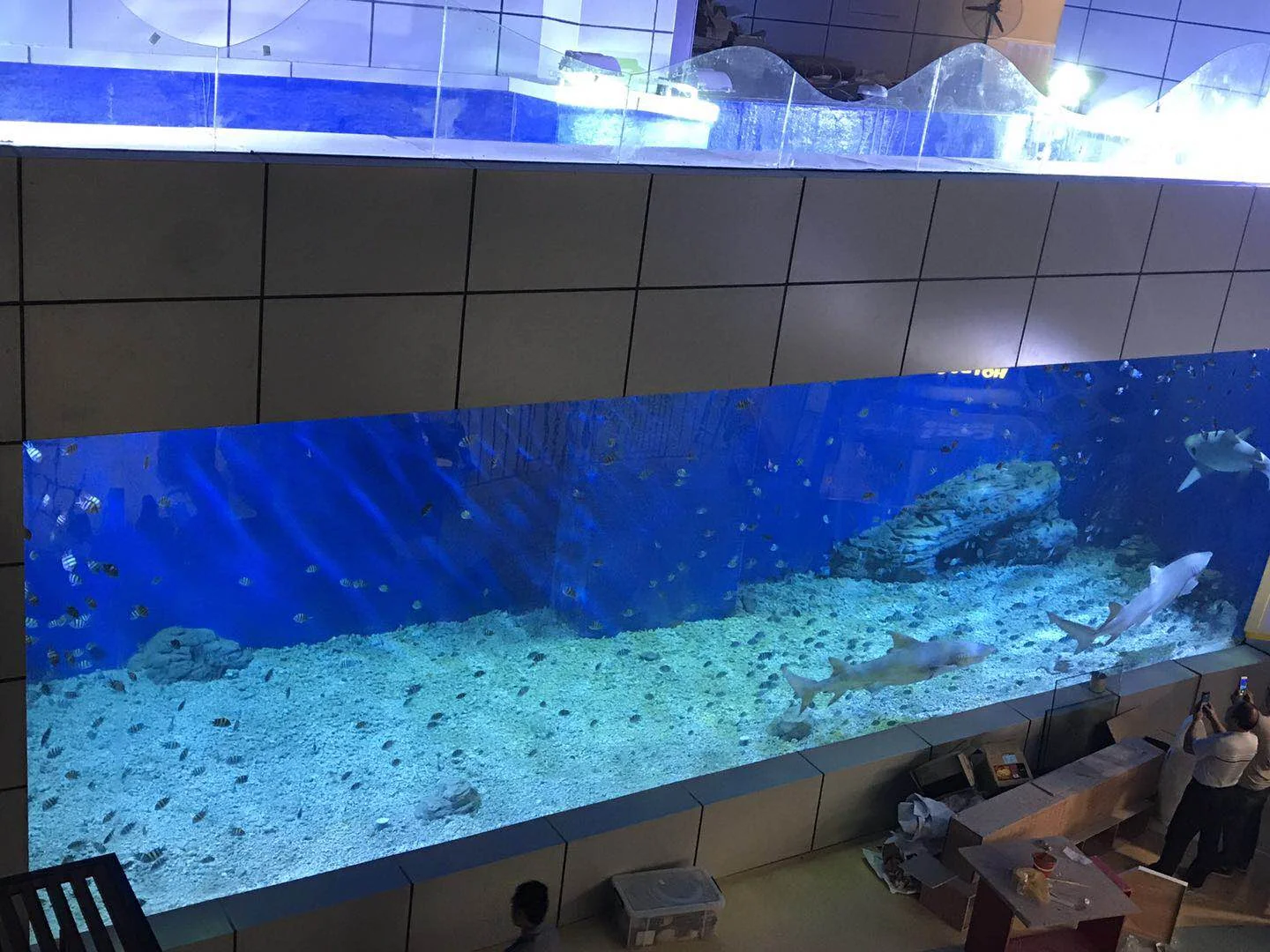 Yiyang Ocean World — project photograph