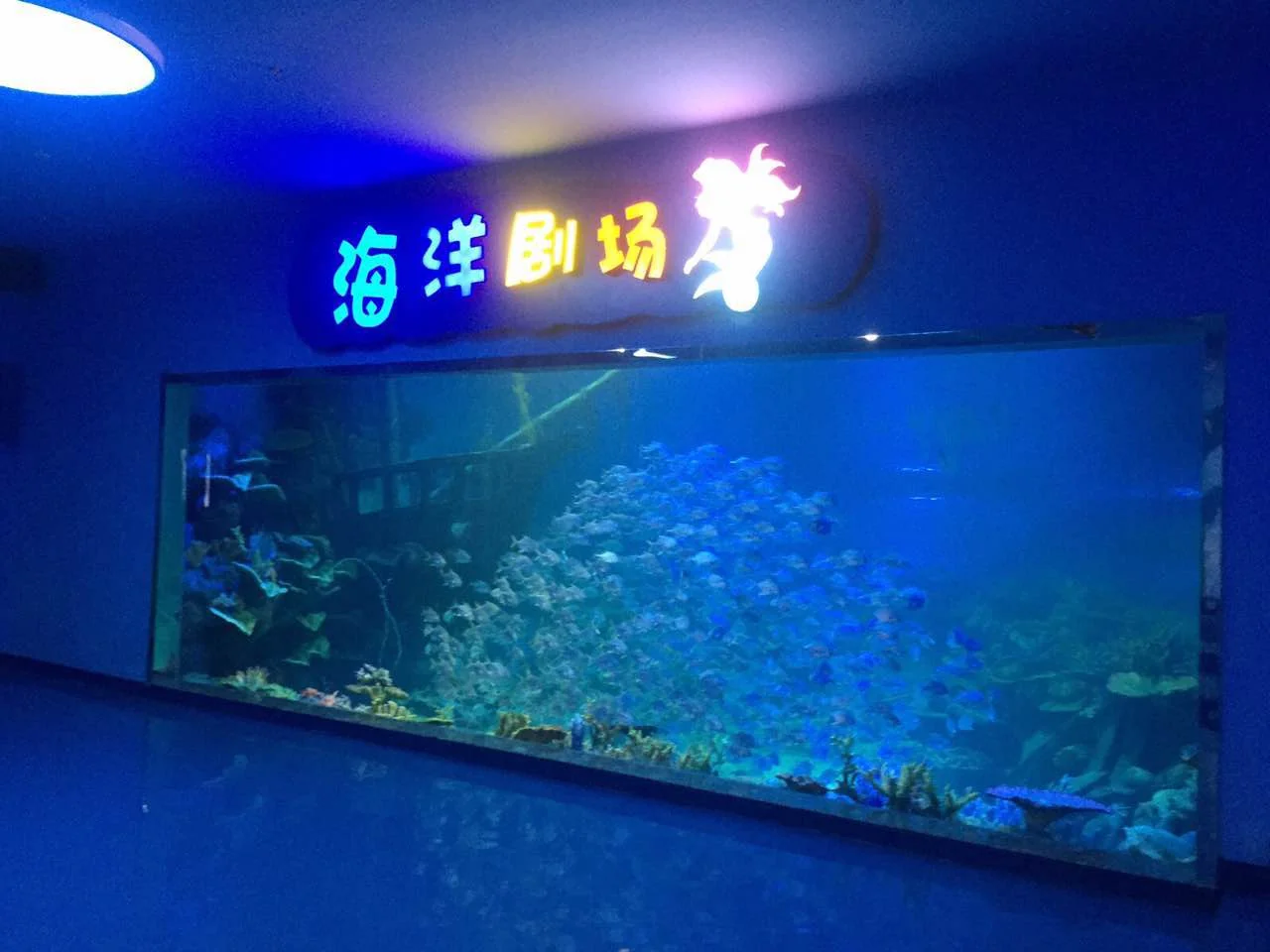 Qin Lake Aquarium — project photograph